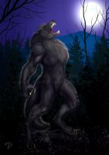 <img0*225:stuff/Full_Moon.jpg>