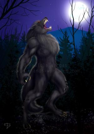 <img300*0:stuff/Full_Moon.jpg>