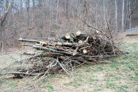 <img200*0:stuff/Funeral_pire.jpg>