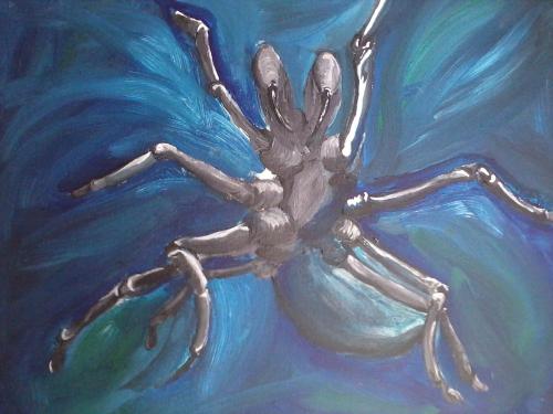 <img500*375:stuff/Funnel_Spider.jpg>