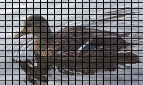 <img:stuff/GMduckgridtrin.jpg>