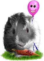 <img:stuff/GP_blk_pink_b150.png>