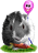 <img:stuff/GP_blk_pink_b35.png>