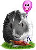 <img:stuff/GP_blk_pink_b75.png>