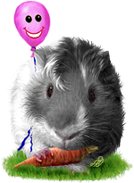 <img:stuff/GP_blk_pink_b_rev150.png>