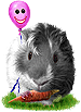 <img:stuff/GP_blk_pink_b_rev75.png>
