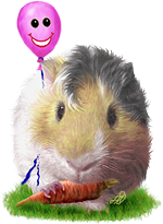<img:stuff/GP_blonde_pink_b_rev150.png>