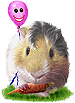 <img:stuff/GP_blonde_pink_b_rev75.png>