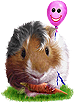 <img:stuff/GP_brown_pink_b75.png>