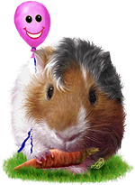 <img:stuff/GP_brown_pink_b_rev150.png>