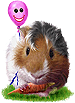 <img:stuff/GP_brown_pink_b_rev75.png>