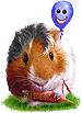 <img:stuff/GP_chestnut_blue_b75.png>