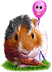 <img:stuff/GP_chestnut_pink_b75.png>