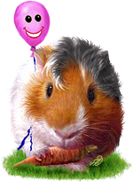 <img:stuff/GP_chestnut_pink_b_rev150.png>