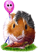 <img:stuff/GP_chestnut_pink_b_rev75.png>