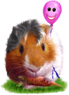 <img100*0:stuff/GP_test.png>