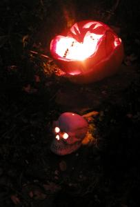 <img0*300:stuff/GRINin%20PK3.jpg>