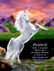The_Magic_Of_The_Unicorn