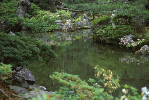 <img:stuff/GinkakuSpring.jpg>