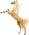 <img:stuff/GoldenShimmer100.png>