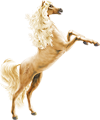 <img:stuff/GoldenShimmer100_rev.png>