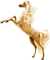 <img:stuff/GoldenShimmer50.png>