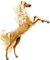 <img:stuff/GoldenShimmer50_rev.png>