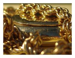 <img250*0:stuff/GoldenWatch.jpg>