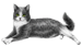 <img:stuff/GrNWhCatEmo.png>
