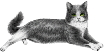 <img:stuff/GrNWhCatRev400.png>