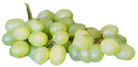 <img:stuff/Grapes-WhiteRev.png>