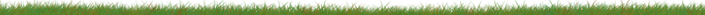 <img:stuff/GrassDiv.png>