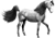 <img:stuff/GrayHorse_left_EMOtest_rev.png>