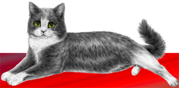 <img:stuff/GrayNwhite350_rev.png>