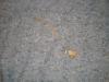 <img100*0:stuff/Grey_old_blanket_with_hole.jpg>