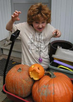 <img0*400:stuff/HS%201.jpg>