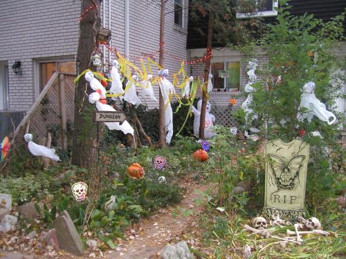 <img500*0:stuff/HS%2010%20yard.jpg>