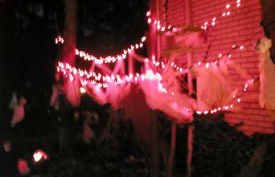 <img0*200:stuff/HS15%20yard.jpg>