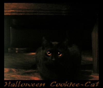 <img400*0:stuff/Halloween%20C~C.jpg>