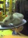 <img100*0:stuff/Hamster_mobile.jpg>