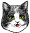 <img:stuff/Happy-smile.png>