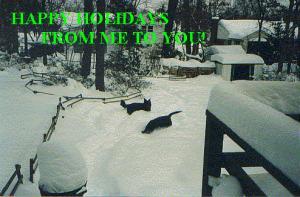 <img300*0:stuff/Happy_Holidays_From_Me_To_You.jpg>