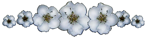<img:stuff/Hawthorne%20flower%20banner.gif>