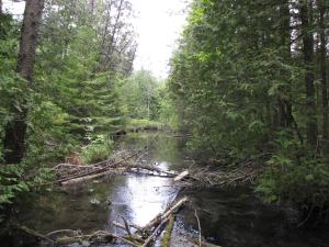<img300*0:stuff/Headquarters%20Nature%20Walk%20039.jpg>
