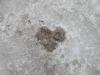 HeartInIce