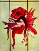 <img0*100:stuff/Hibiscusfaenet.jpg>
