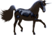 <img:stuff/High-StepperBullet_rev.png>