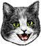<img:stuff/Hiss.png>