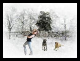 Winter Wonderland Stock INFO