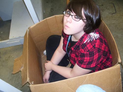 <img500*375:stuff/Holly_in_a_box..jpg>